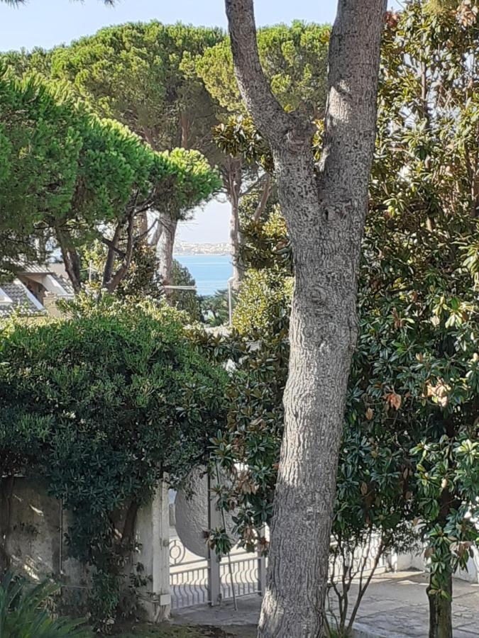 La Bouganville Formia Exteriör bild